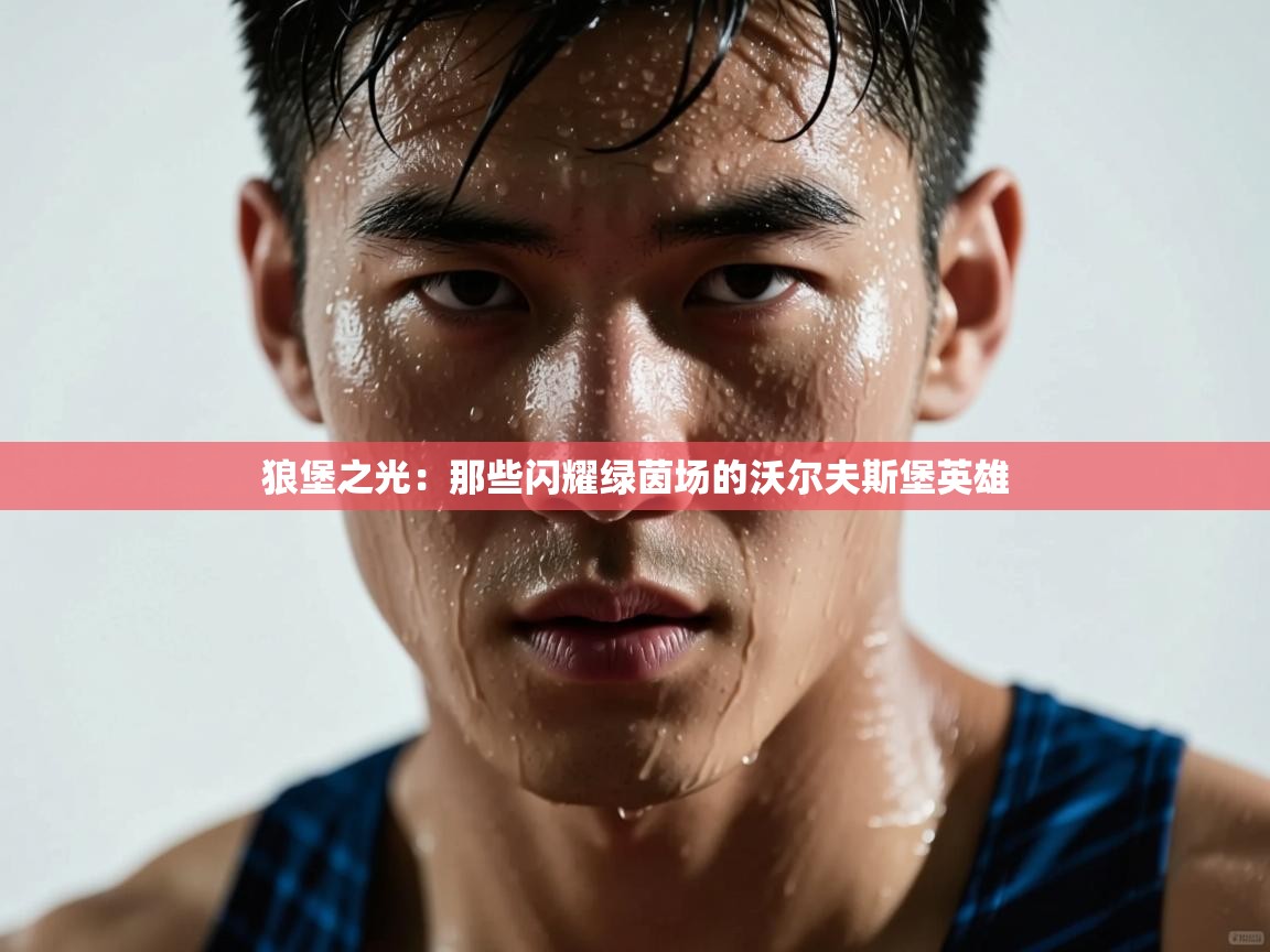 狼堡之光:那些闪耀绿茵场的沃尔夫斯堡英雄 第1张